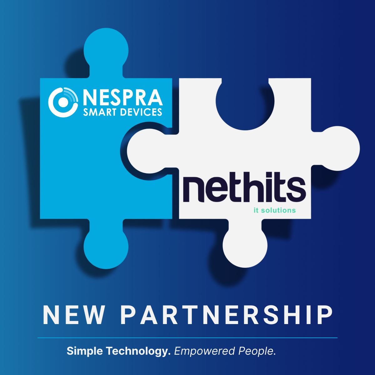 PARTNERSHIP NESPRA